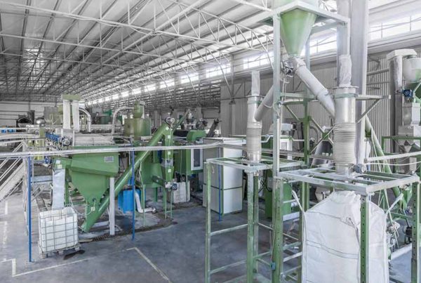 Lavorazioni carbone attivo e carbone vegetale - Drg Srl